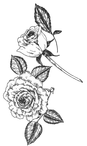 Guess the Rose Floral Arrangement