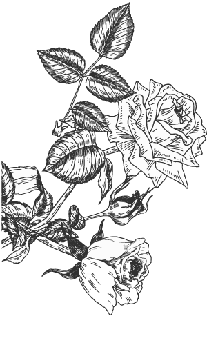 Guess the Rose Floral Arrangement